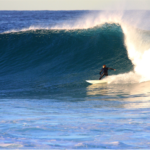 Surf Sydney