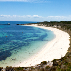 Rottnest Island Little amstrong bay Australie