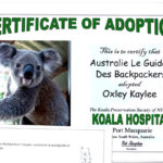 Certificat d’adoption Koala Australie