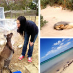 Woofing kangaroo island 2