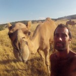 Camel Farm Australia