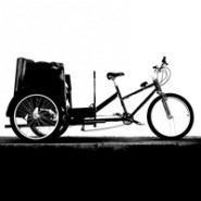 Experience Job Backpacker Pedicab Rider Australie