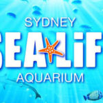 Aquarium Sydney