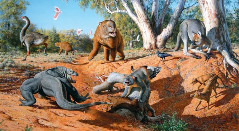 Découverte de la Méga faune d’Australie