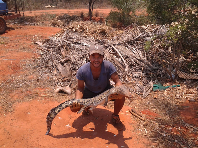 Travailler ferme crocodiles Australie job zoo