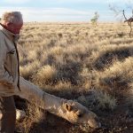 Homme dromadaires désert Australie insolite