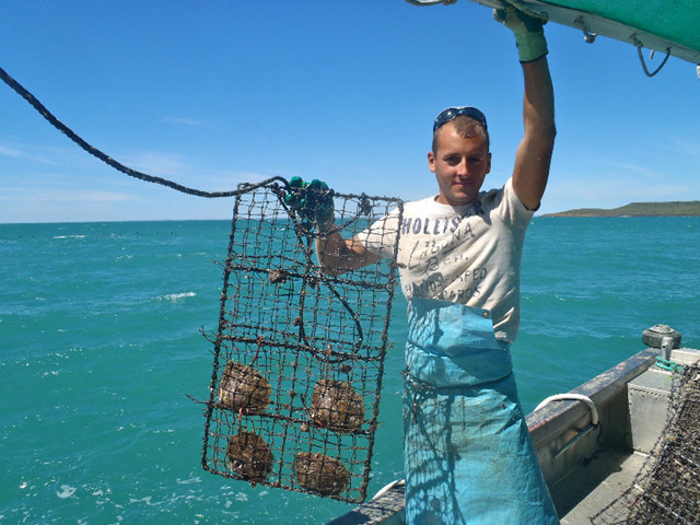 Travailler dans la récolte de perles en Australie – conseils et retour d’expérience