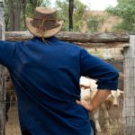 experience dans un ranch en australie