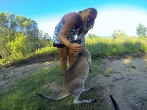 job animaux australie