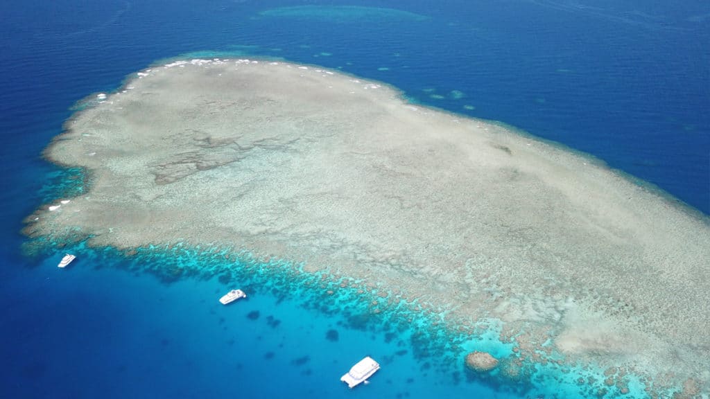 Vol panoramique au-desssus de la grande barriere de corail
