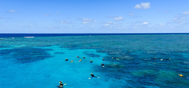 Excursion plongée sur la grande barrière de corail en australie