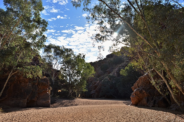 MacDonnells Ranges aux alentours d'Alice Springs