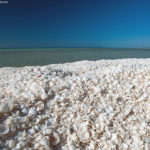 Shell_Beach_plages_Australie