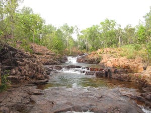 endroits immanquables litchfield national park nord centre australie