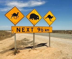 endroits immanquables nullarbor road plain cote sud australie