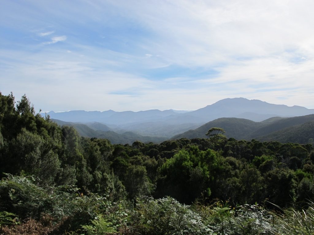 Parc National de Tasmanie