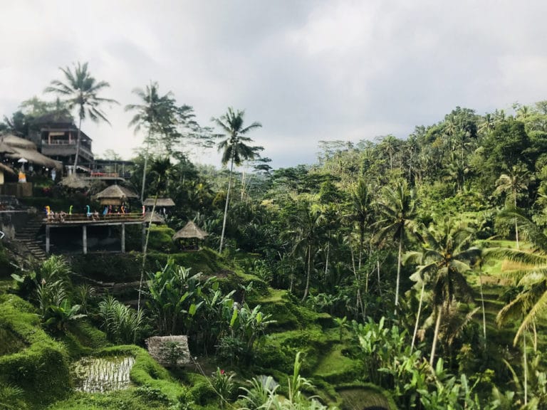 Ubud, l’incontournable de Bali