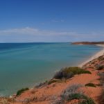 Shark Bay Australie