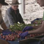 job fruit picking australie