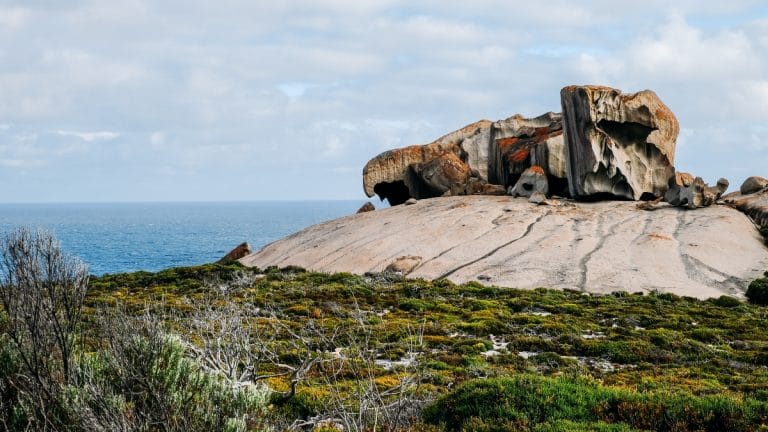Découvrir Kangaroo Island – Australie du Sud
