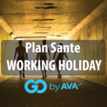 Plan santé Working Holiday Visa Ava