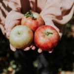 fruit-picking-jobs-australie