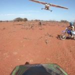 Travailler dans une cattle station