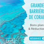 Banner-Carré-Great-Barrier-Reef