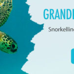 Banner-allonge-Grande-B-Snorkel-Plongee-Reef-Exp
