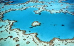 Heart Reef - Grande Barrière de Corail - Australie