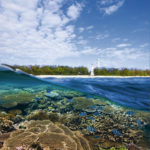 Lady Elliot Island Eco Resort, QLD