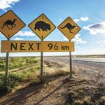 itineraires-de-road-trip-australie