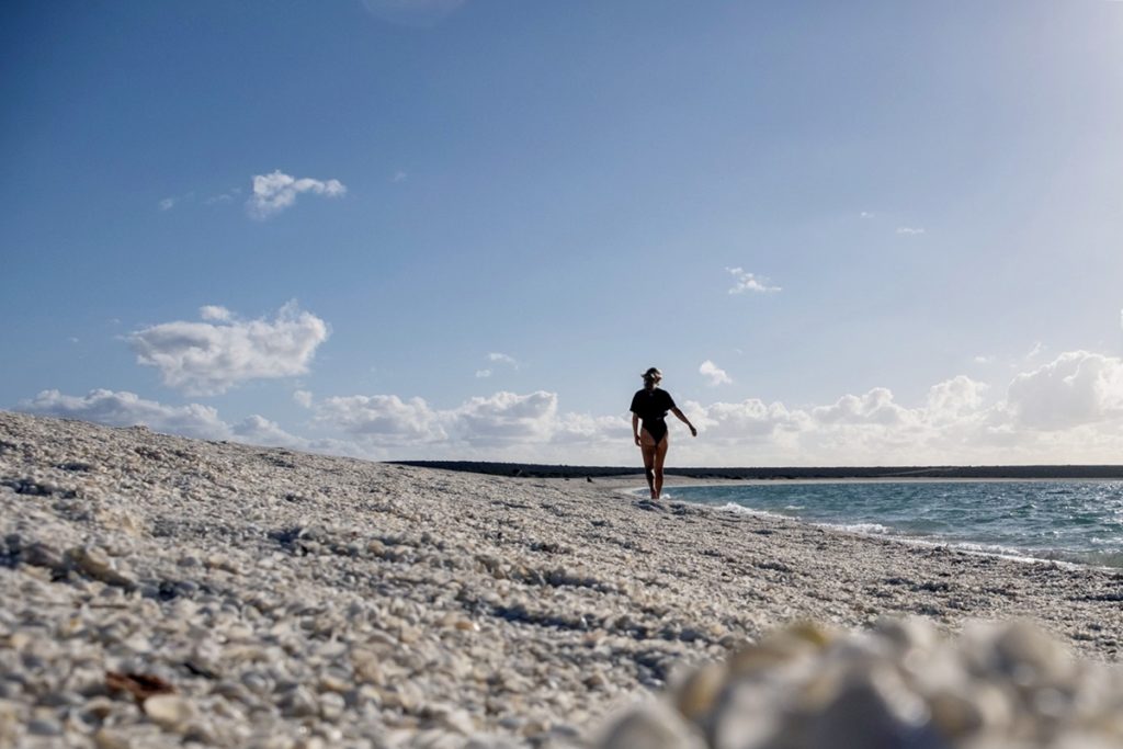 Shell Beach - Shark Bay - Western Australia