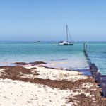 shark-bay-cote-ouest-australie