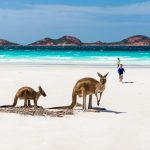 lucky-bay-western-australia