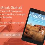 Ebook menu bons plans 2022