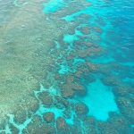 Cairns-great-barrier-reef