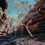 flinder-ranges-parc-national-south-australia